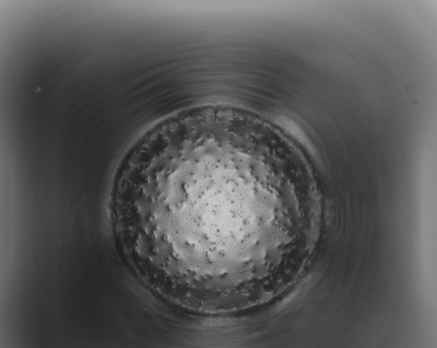 X0000089761068200706281639