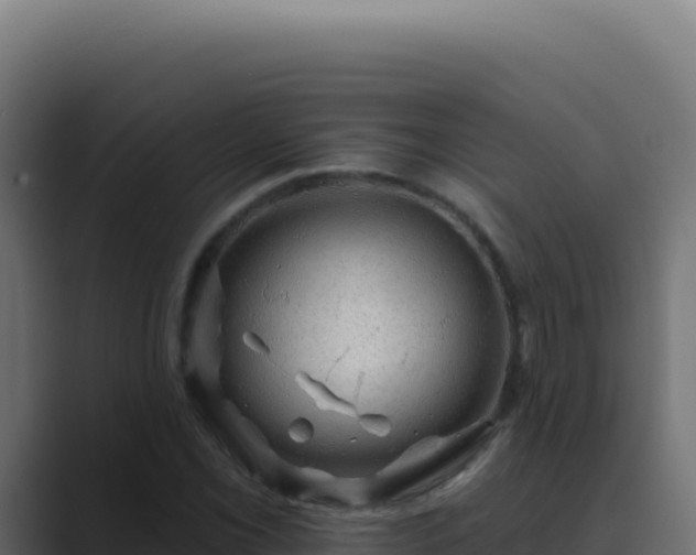 X0000089761069200706281639