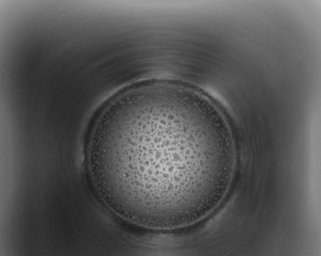 X0000089761070200706281639