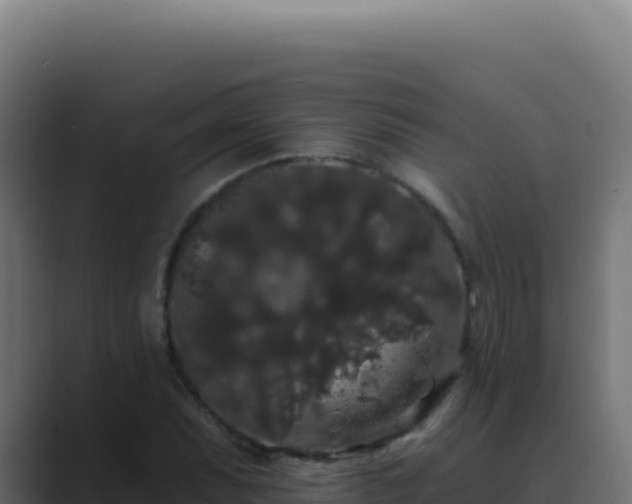 X0000089761071200706281639