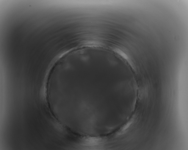 X0000089761074200706281639
