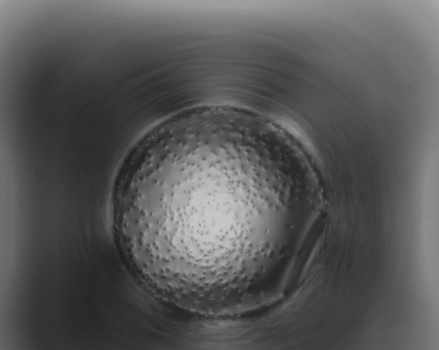 X0000089761076200706281639