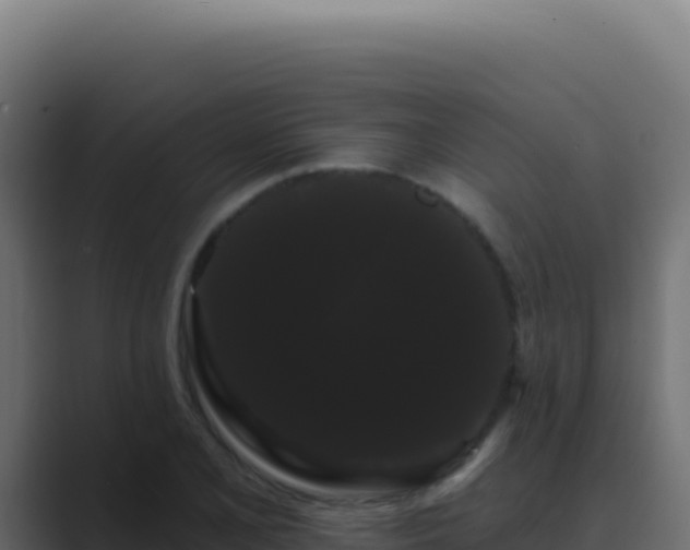 X0000089761077200706281639