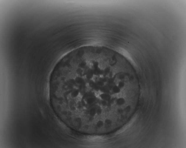 X0000089761079200706281639