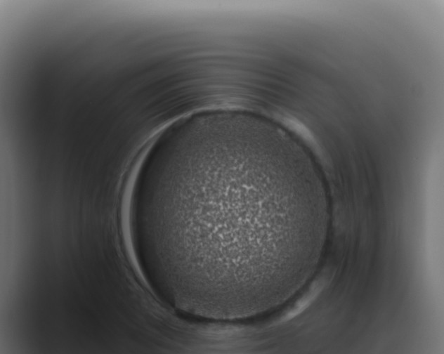 X0000089761081200706281639