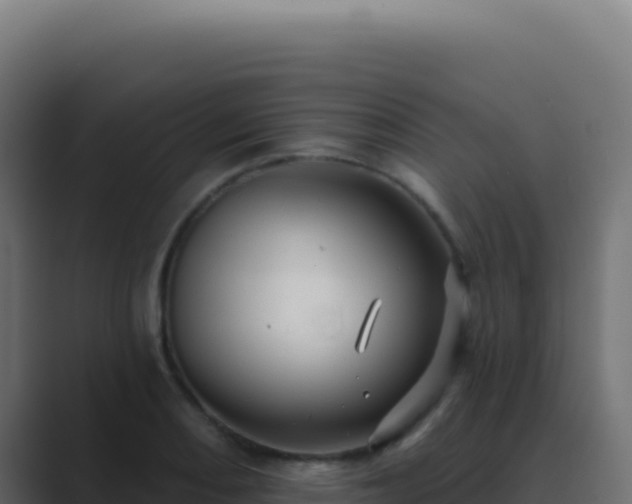 X0000089761082200706281639