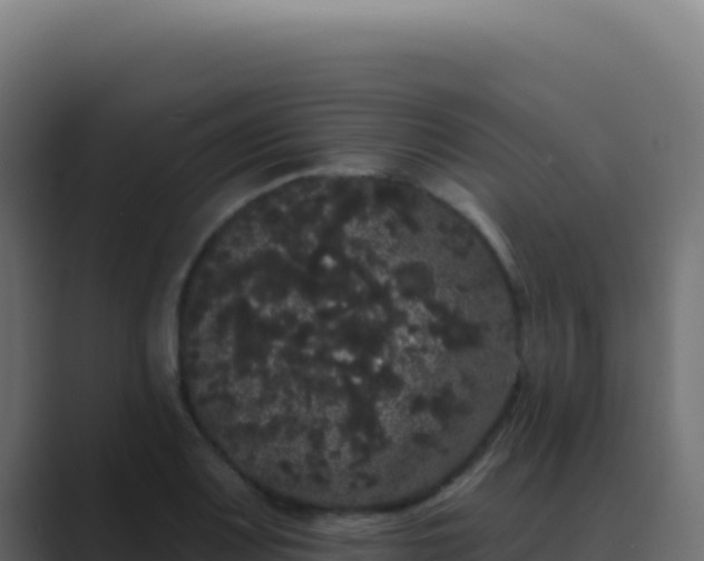 X0000089761083200706281639