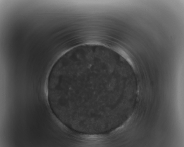 X0000089761084200706281639