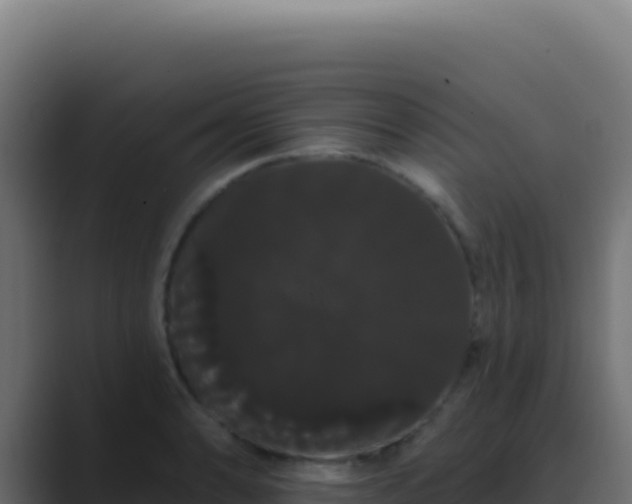 X0000089761086200706281639