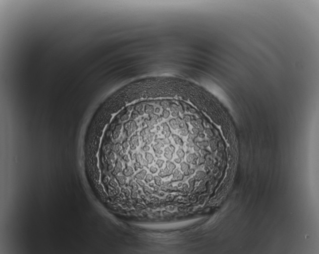 X0000089761088200706281639
