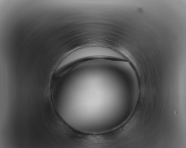 X0000089761089200706281639