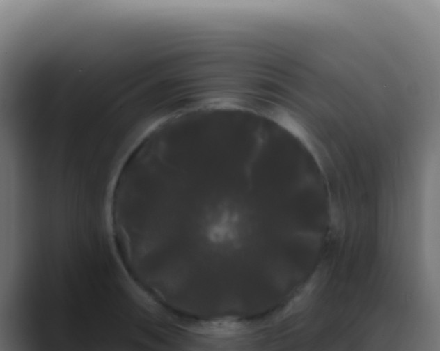 X0000089761090200706281639
