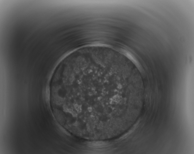 X0000089761092200706281639