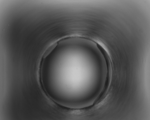 X0000089761093200706281639