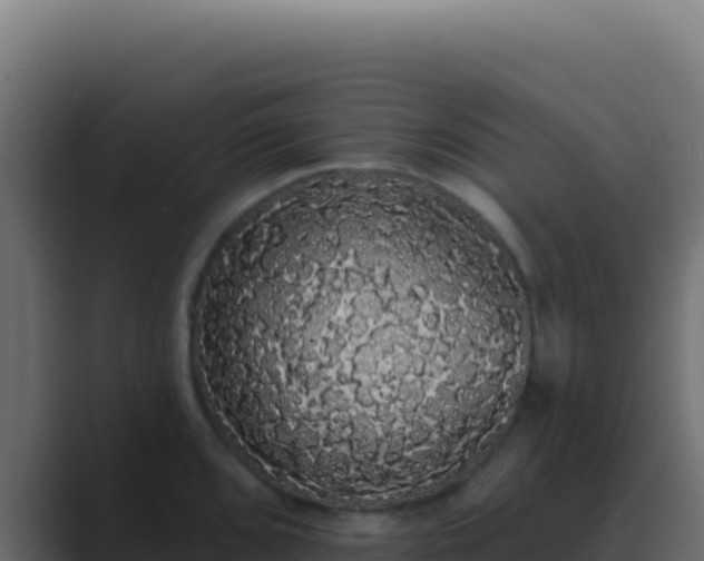 X0000089761096200706281639