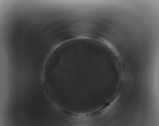 X0000089761097200706281639