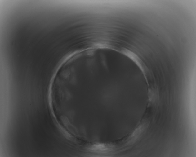 X0000089761098200706281639