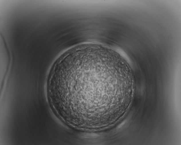 X0000089761100200706281639