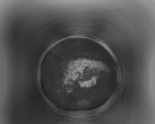 X0000089761101200706281639