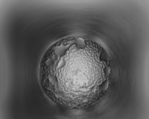 X0000089761103200706281639