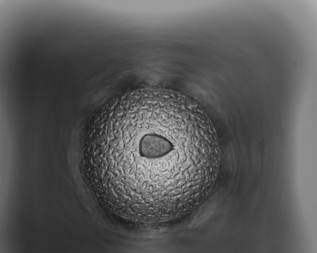 X0000089761105200706281638