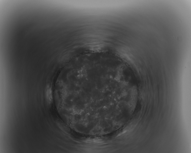 X0000089761106200706281638