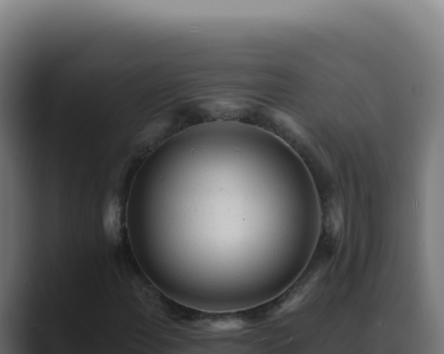 X0000089761108200706281638