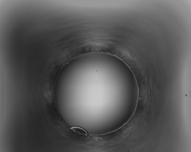 X0000089761109200706281638