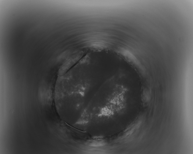 X0000089761110200706281638