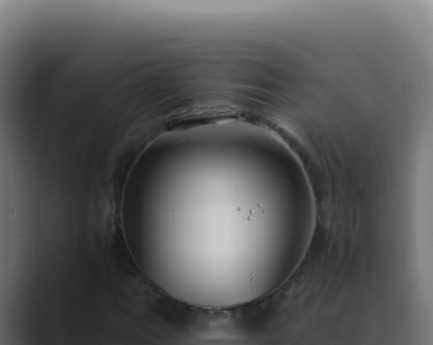 X0000089761111200706281638