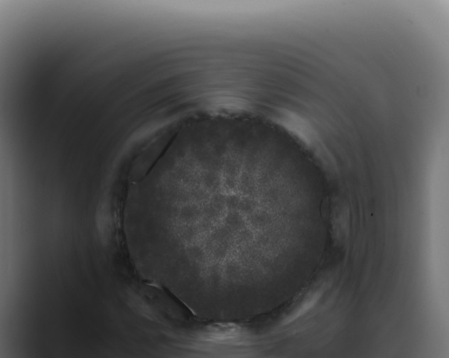 X0000089761112200706281638