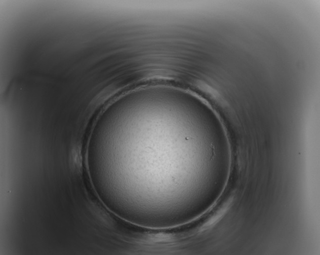 X0000089761113200706281638