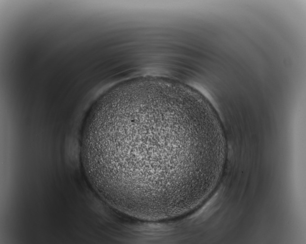 X0000089761115200706281638