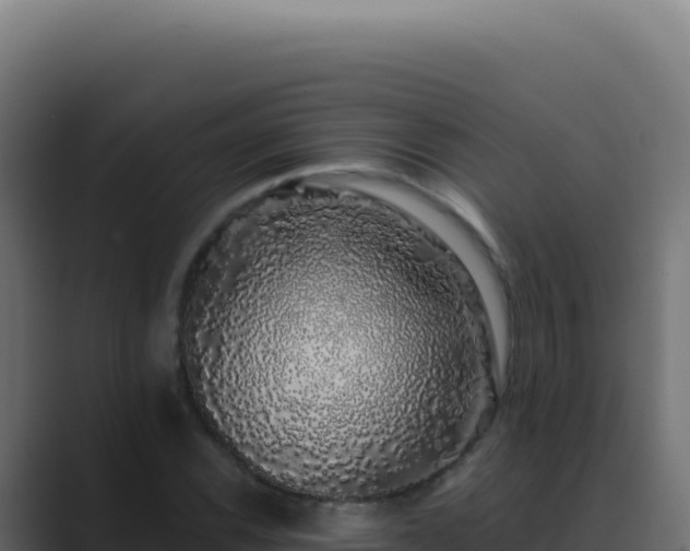 X0000089761116200706281638