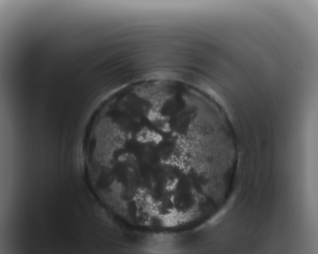 X0000089761117200706281638