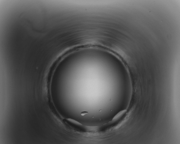 X0000089761118200706281638