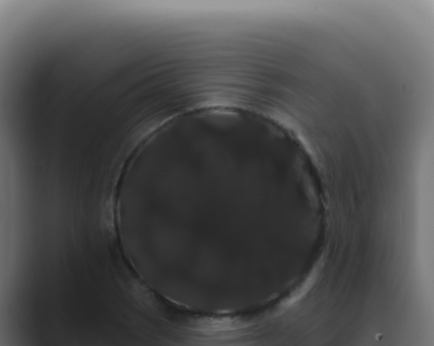 X0000089761121200706281639