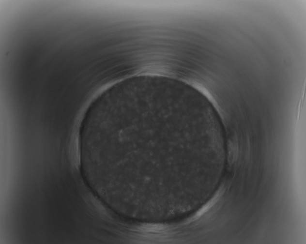 X0000089761123200706281639