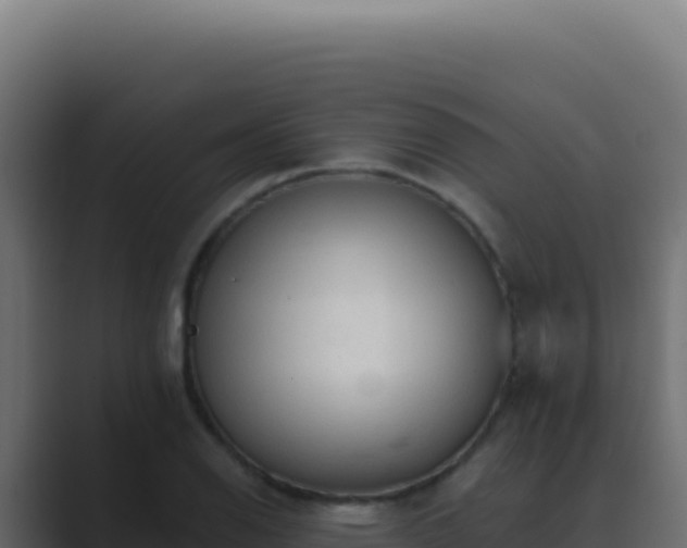 X0000089761126200706281639