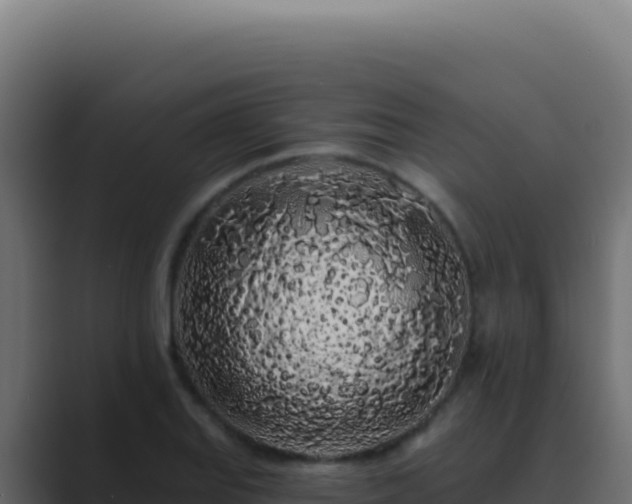 X0000089761127200706281639