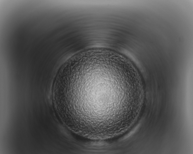 X0000089761129200706281639