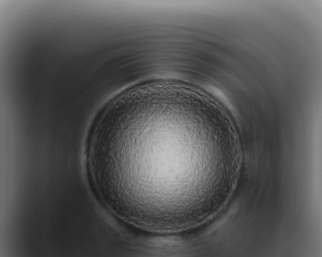 X0000089761133200706281639
