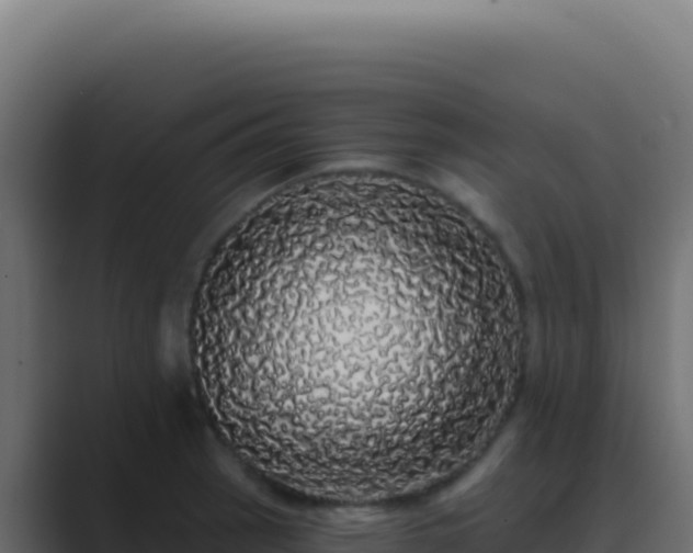 X0000089761137200706281639