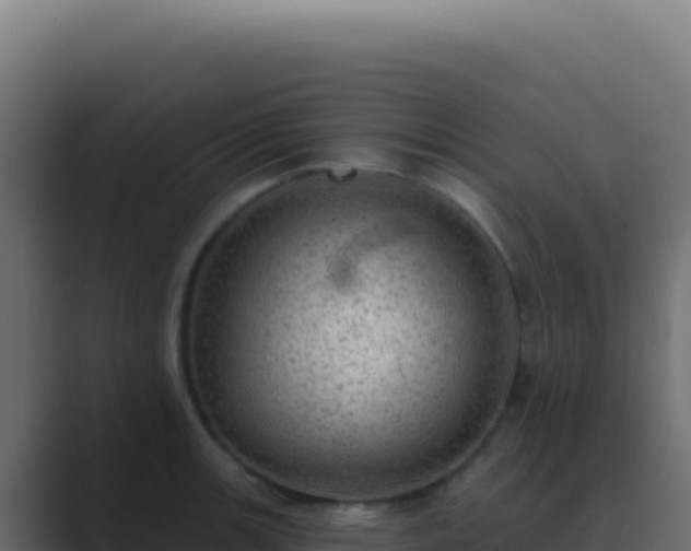 X0000089761139200706281639