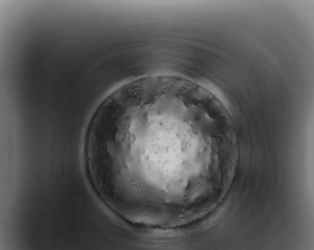 X0000089761142200706281639