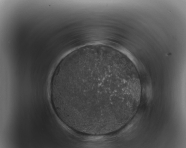 X0000089761143200706281639