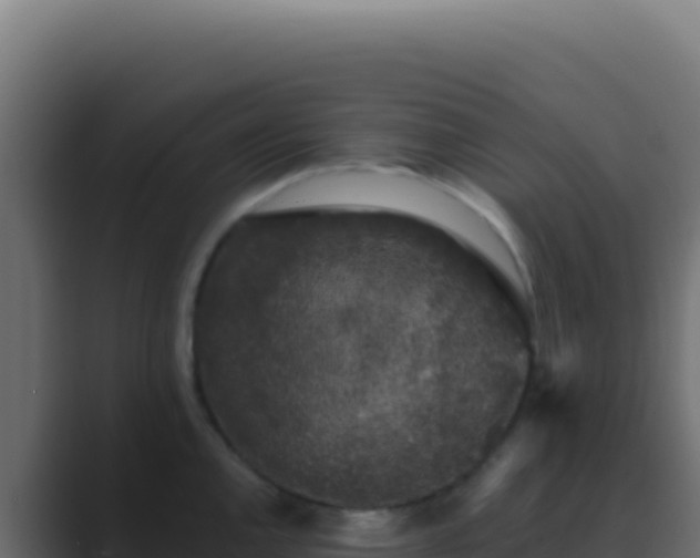 X0000089761144200706281639