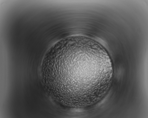 X0000089761145200706281639