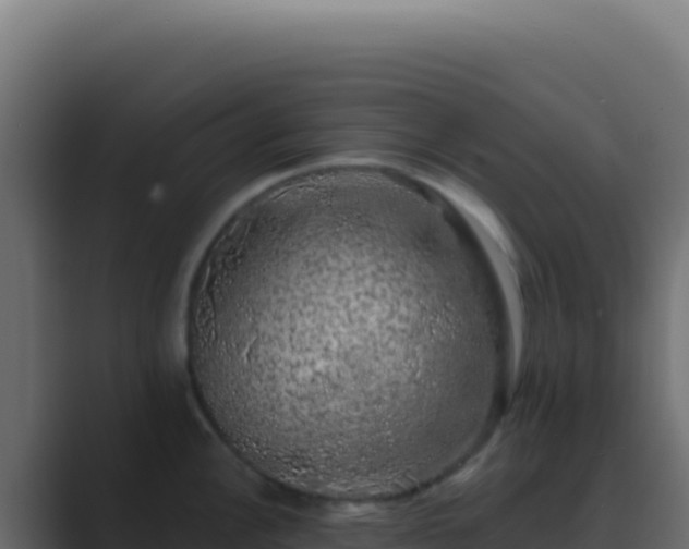 X0000089761148200706281639