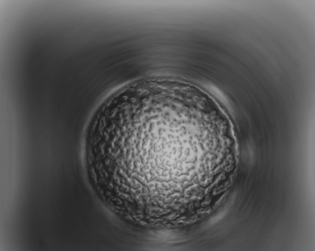 X0000089761149200706281639